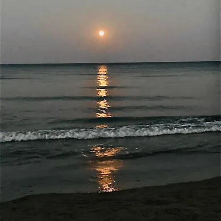 Bali 404 * Larnaka