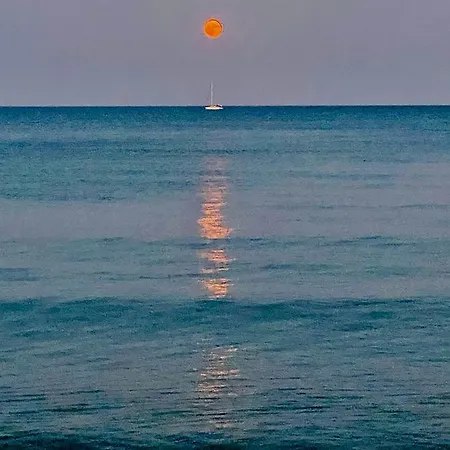 Bali 404 Larnaka