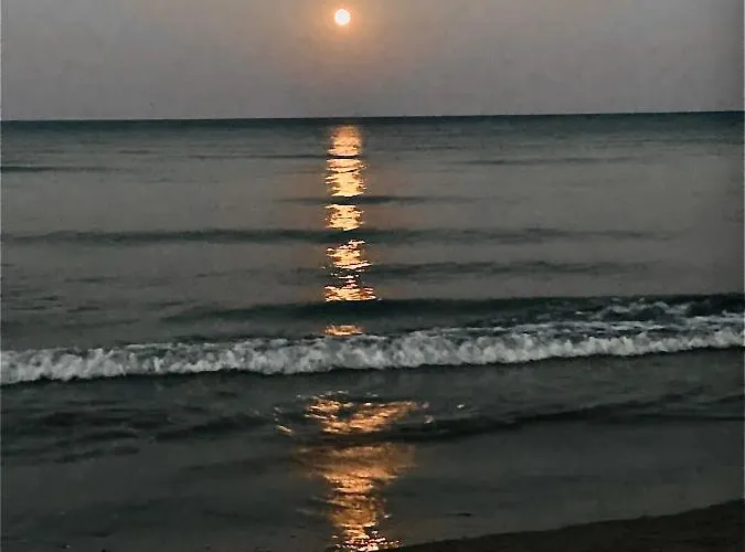 Bali 404 * لارنكا