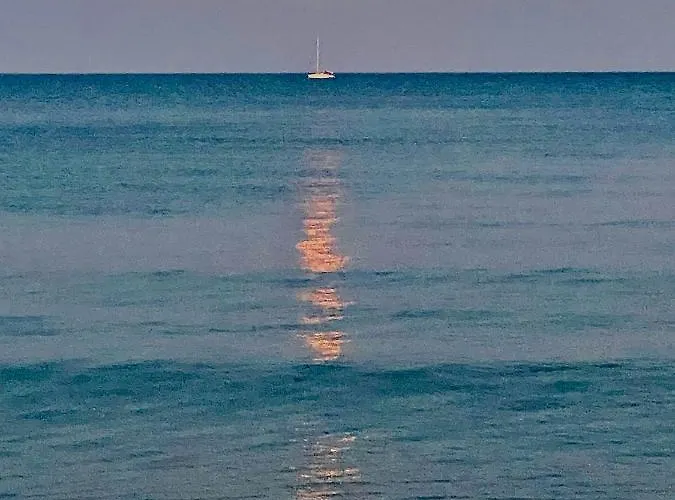 Bali 404 لارنكا